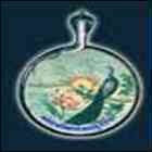 Vidya Bhawan Polytechnic College, Udaipur